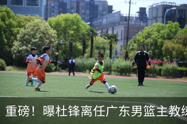重磅！曝杜锋离任广东男篮主教练 媒体人猜测外教接任可能性较大